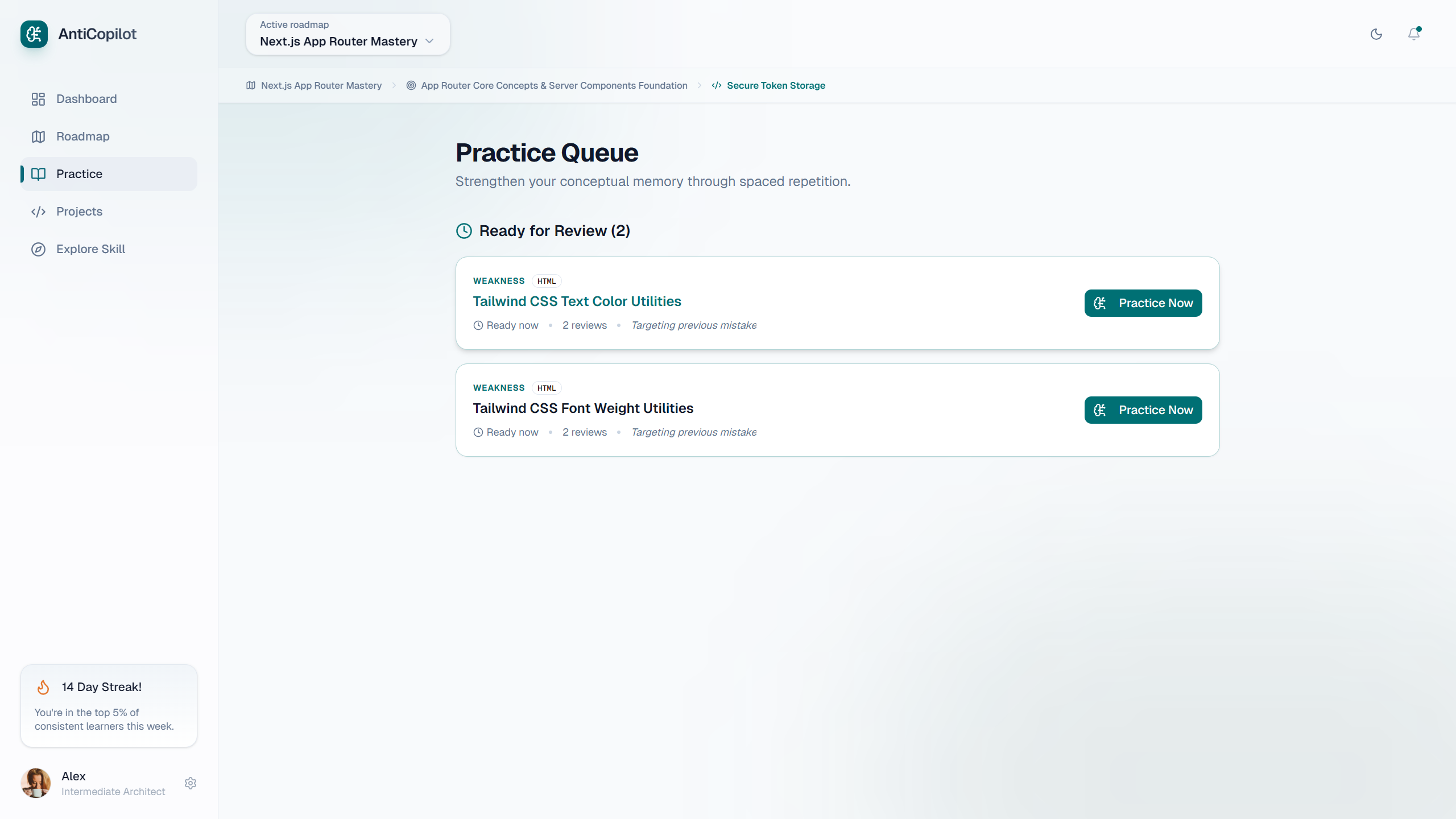 Practice Queue — spaced repetition items ready for review